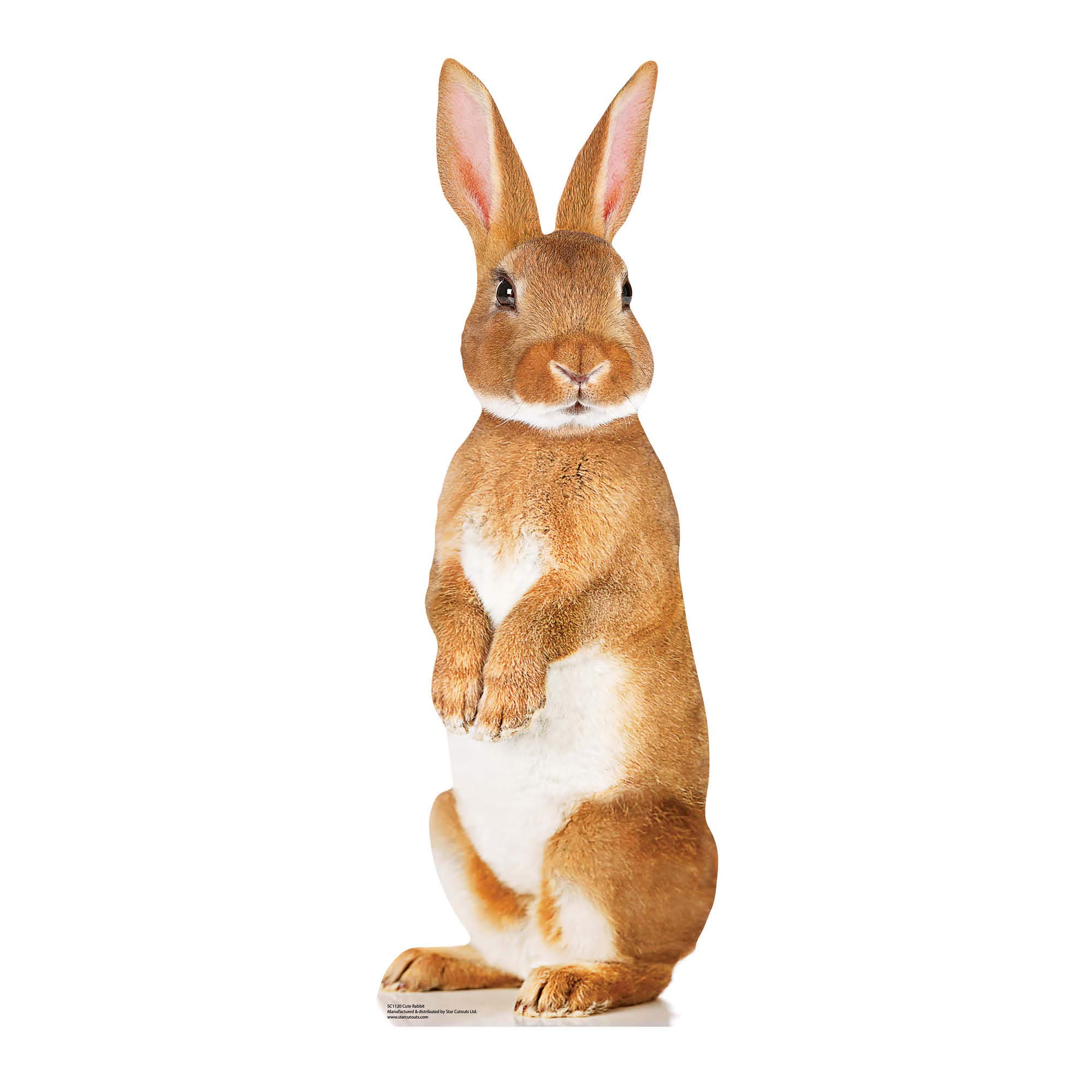 STAR CUTOUTS SC1120 Cute Bunny Rabbit Cardboard Cutout Perfect for Animal Parties and Pets Fans and Collectors 90cm Tall, Multicolour