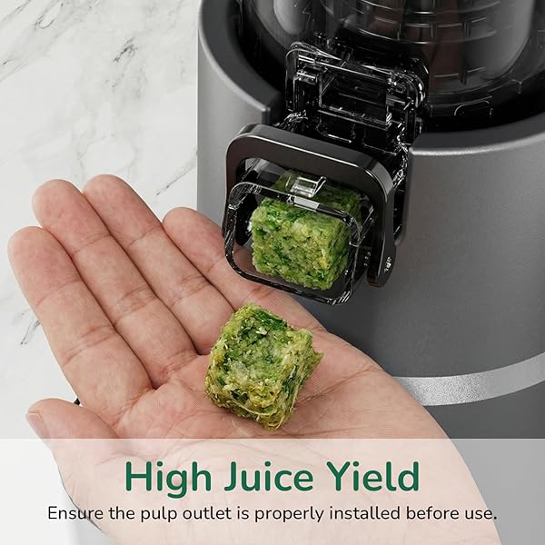 CANOLY COLD PRESS JUICER, 4.5″ WIDE FEED CHUTE JUICER MACHINE
