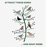 Peckish Complete Seed and Nut Mix for Wild Birds 3.5kg Green view 5