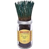 Wild Berry Fizzy Pop 11-Inch Incense Sticks, Hand Dipped, 100 Count | Effervescent Citrus and Lemon Lime Soda Scent, Premium Incense Sticks, Home Fragrance Aromatherapy, USA made, 100 Count