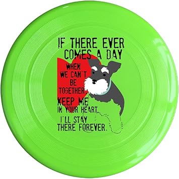 mini frisbee amazon