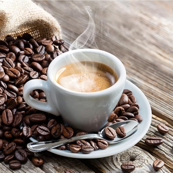 THE COFFEE FACTORY – INSTANT HAZELNUT COFFEE, AUTHENTIC & AROMA FLAVOR FROM VIETNAMESE (PACK OF 1, HAZELNUT FLAVOR)