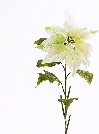 Pianta Stella Di Natale Finta.Artplants De Stella Di Natale Artificiale Crema 70cm Poinsettia Decorativa Fiore Artificiale Amazon It Casa E Cucina