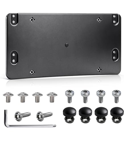 RUIANOMG Rear Tailgate License Plate Pocket Panel Replacement for