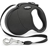 The Best Retractable Leash For Dogs In 2025