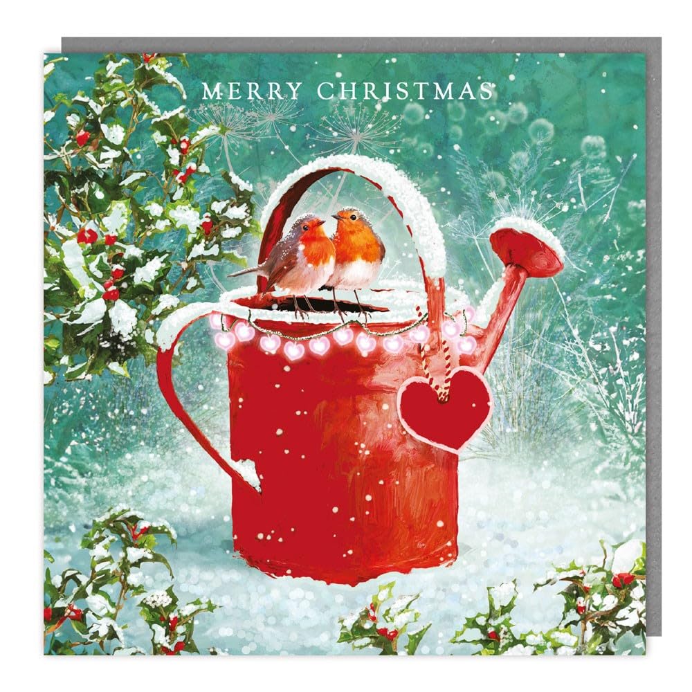 Tracks Publishing Charity Christmas Cards Pack of 5 - Charity Christmas Cards with a Snowy Robins and Holly Design - Eco-Friendly Xmas Cards Multipack with Envelopes