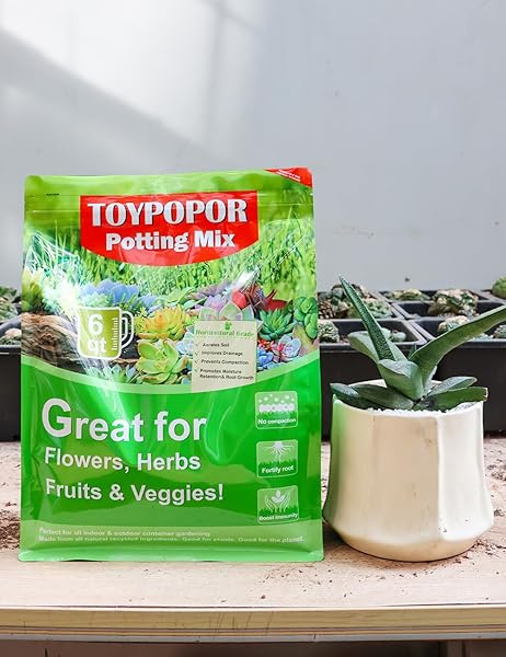 TOYPOPOR SUCCULENT SOIL, CACTUS POTTING MIX 6 POUNDS/3QTS, HIGH DRAINAGE, PRE-MIXED READY TO USE FOR ALL SUCCULENT VARIETIES, INDOOR PLANTS, BONSAI, TERRARIUM, HOUSEPLANT, 70% PARTICLES 30% SOIL