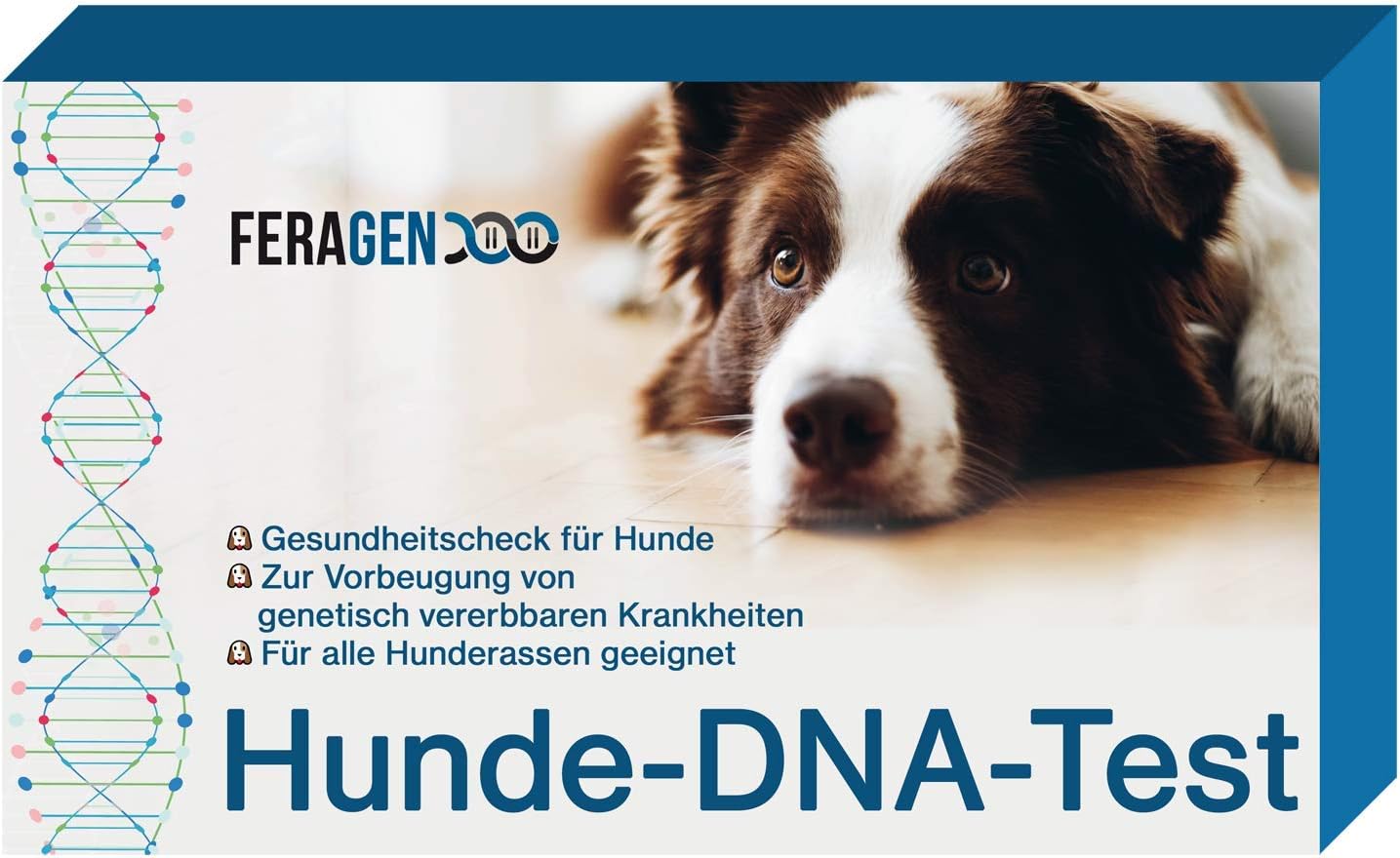 Gentest Für Hunde Kosten / Neu Katarakt Gentest Fur Lagotti Romagnoli