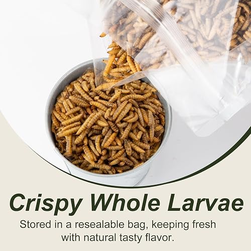 BSFL Chicken Feed 10 LB Dried Black Soldier Fly Larvae - High Protein ...