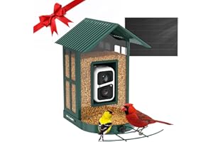 Soliom Bird Feeder with Camera Wireless Outdoor with AI Identify Bird Species, Smart Wild Bird Watching Cam, Live View, Motion Triggered Notification, 3W Solar, 1.6L Small Size-Metal Case BF08S-G