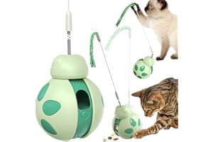Monotre Cat Treat Interactive Toy, Indoor Puzzle Slow Feeding Mental Stimulation Sliding Rolling Cat Toy Ball with Cat Teaser, Cat Treat Dispenser Toy for Large, Medium and Small Cats (Green, ladybug)