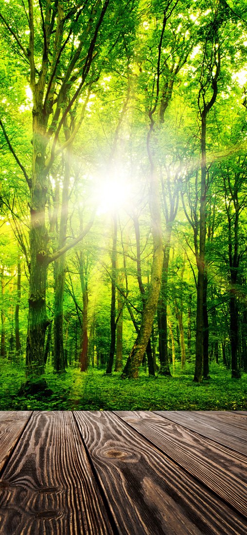 PeelitStickit Nature Wallpaper, Wall Mural ID-003, vinyl