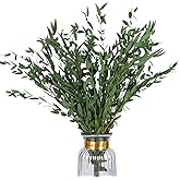HIAGROW Real Eucalyptus Stems Greenery Decor 20PCS 17" Dried Willow Eucalyptus Plant Preserved Greenery Stems for Home Vase Filler Wedding Flowers Arrangement Spring Decorations