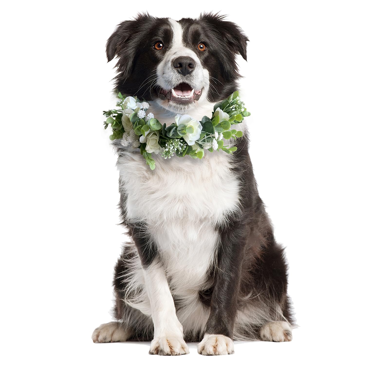Photo 1 of Sysmashing Dog Wedding Collar - Rose Flower Crown, Flower Crown for Weddings, Pet Photo Prop