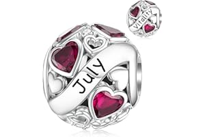 DALARAN Birthstone Charms for Charms Bracelet 925 Sterling Silver Heart Bead Happy Birthday Charms for Women