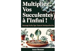 MULTIPLIEZ VOS SUCCULENTES A L'INFINI! Guide ILLUSTRÉ: Bouturage, Feuilles, Tiges. Toutes les Techniques pas à pas.