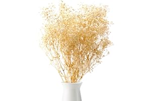 JFWOD Dried Babys Breath Flowers Bulk 2500+ Ivory White Flowers for Home Decoration Vase Arrangements Table Decor Parties and Weddings, DIY Gift Décor (White)