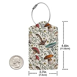 Docsckus 4 PCS PU Leahter Luggage Tag with
