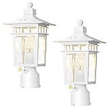 APOTO Dusk to Dawn Outdoor Post Lights, Waterproof