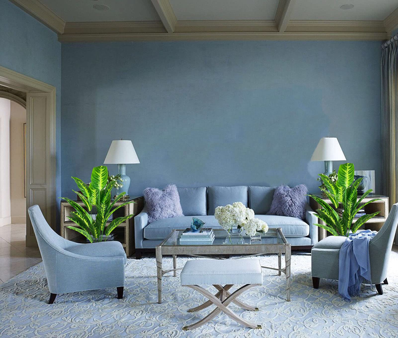View 5