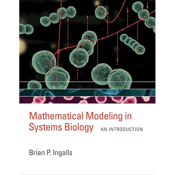 Mathematical Modeling in Systems Biology: An Introduction