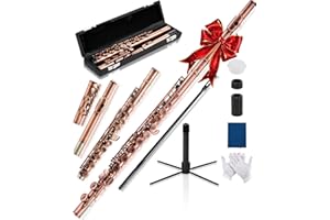 AKLOT Closed-Hole Concert C Flute: Flute Instrument with 16 Keys, Offset G, Smooth Cupronickel Keys, Air-Tight Pads, Include Stylish Leather Hard Case, Cleaning Kit, Stand, Gloves (LUM-CE)