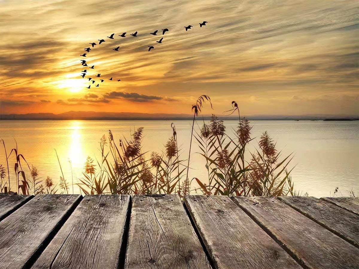Flowerbeads Diamond Painting Kits for Adults, Cross Stitch Kits,Crystal Picture Art DIY Full Drill Cross Stitch Wall Sticks Home Decor,Lovely Scope of Sunset(11.8X15.7Inch)