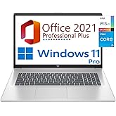 hp 17.3" HD+ Business Laptop, 13th Gen Intel Core i5-1334U (10cores,12 threads), 16GB RAM, 512GB SSD, Free Lifetime Office 2021, HDMI, WiFi 6, BT5,Windows 11 Pro (16GB RAM | 512GB SSD, Natural Silver)