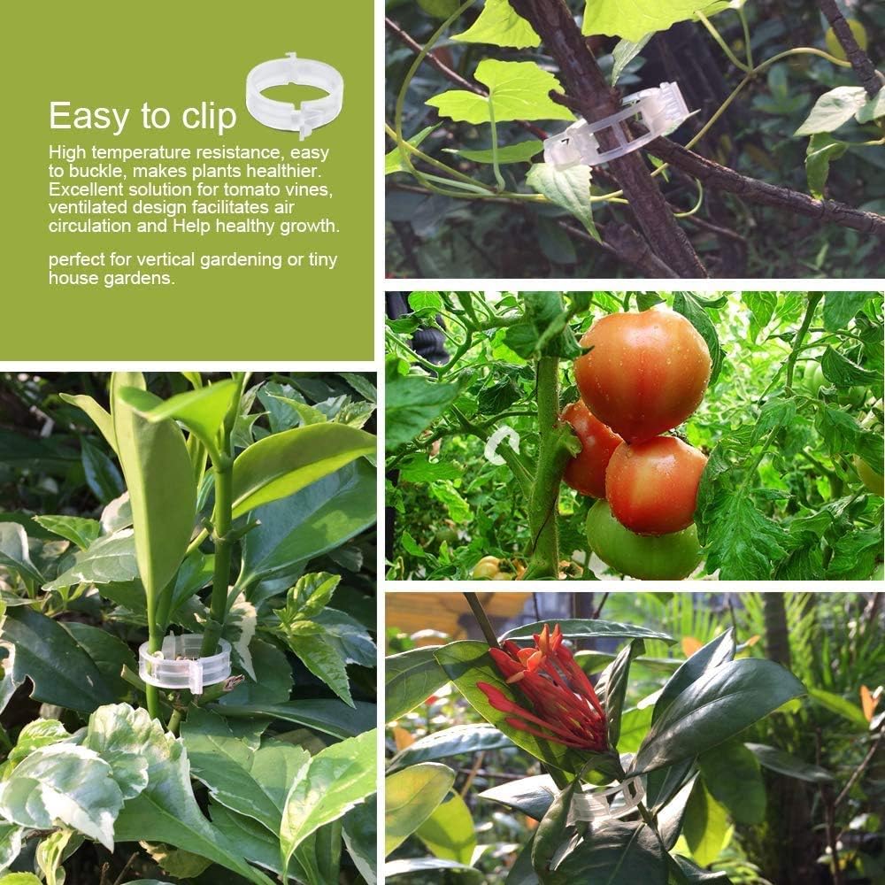 auvstar Clips de planta, Clips Cantaloupe, Clips de plástico ...