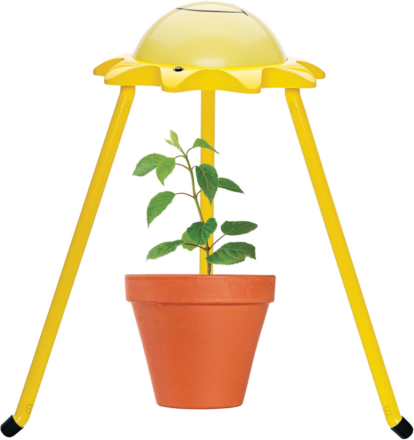 grow light creativity for kids