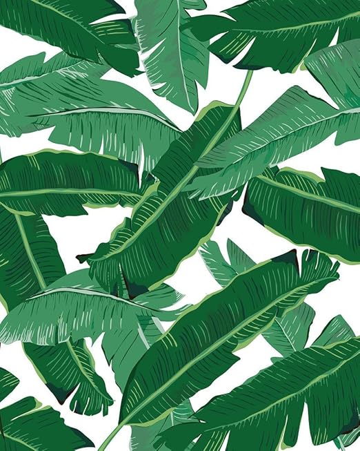 Castle Rye Banana Leaf Pattern Art Photo Quality Poster Print For Living Room Or Bedroom Wall Amazon In Home Kitchen