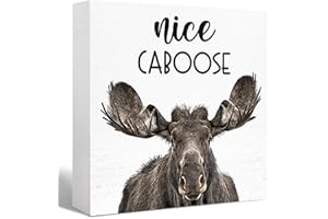SJNH Funny Bathroom Wood Sign Nice Caboose Funny Moose Wood Block Sign for Bathroom Shelf Toilet Restroom Home Tabletop Desk Decor,Farmhouse Bathroom Wooden Box Sign