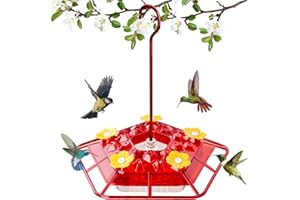 WINTS 25 Feeder Ports Hummingbird Feeder for Outdoors Hanging 10 OZ Plastic Hummingbird Feeders with Perch Built-in Ant Moat 