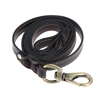 dog walking belt pets at home