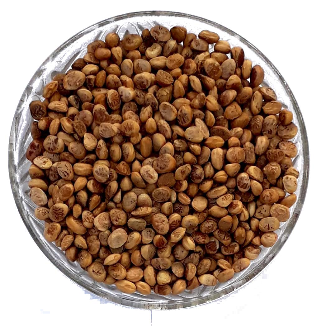 Shiviproducts Almondette Seeds (Charoli or Chironji) (450 gm)