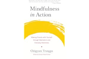 Mindfulness in Action: Making Friends with Yourself through Meditation and Everyday Awareness