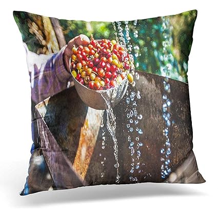 Amazon Com Asefcnxkjii Throw Pillow Cover Green Farm Fresh Coffee