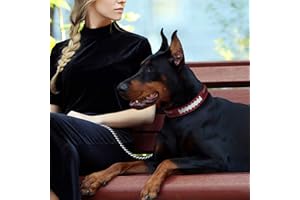 Pets First Tough Leather Pet Collar NFL Seattle Seahawks Premium Dog Collar, Limited Edition, Size Large. Best & Strongest Heavy-Duty Dog Collar!, Large (20-29"" Long & 1"" Wide) (SEA-3081-LG)