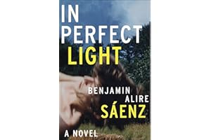 In Perfect Light: A Novel