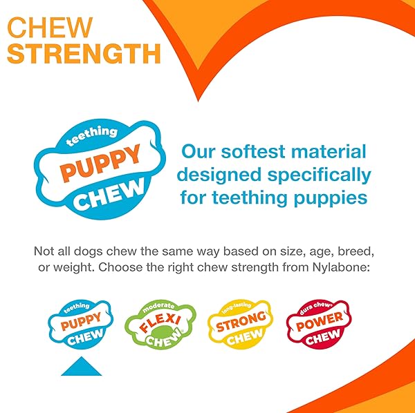 NYLABONE NEW PUPPY STARTER KIT, 2 CHEW TOYS AND 1 NATURAL TREAT FOR PUPPIES, PUPPY TEETHING TOY, BACON & CHICKEN FLAVOR, SMALL DOGS – UP TO 25 LBS., 3 PACK