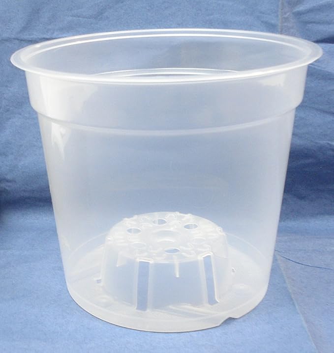 15,2 cm Zoll rund klar Kunststoff Orchidee – 5 PACK
