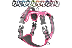 VIVAGLORY Dog Harness Easewalk No Pull Dog Harness with Handle Front Clip & Back Clip for Training Walking Lifting, No Pull A