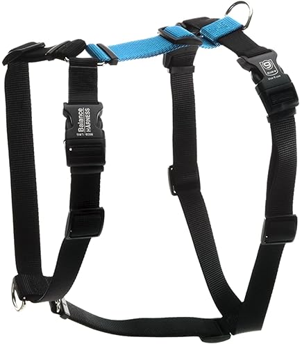 Blue-9 Balance Harness & Leash Set For Dogs | No-Pull, Adjustable, Made In USA (Medium, Blue)
