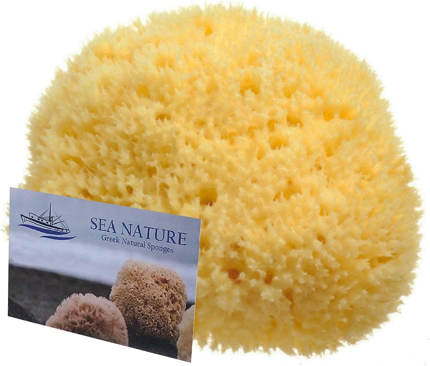 Sea Nature Natural Sea Sponge Brand 5-6 Inches Soft Type for Body Bath and Face Cleaning Ideal for Baby Bathing
