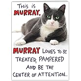 Funny Cat Birthday Card for Women, Men, Coworkers, Friends & Family - eat, drink, and be Murray