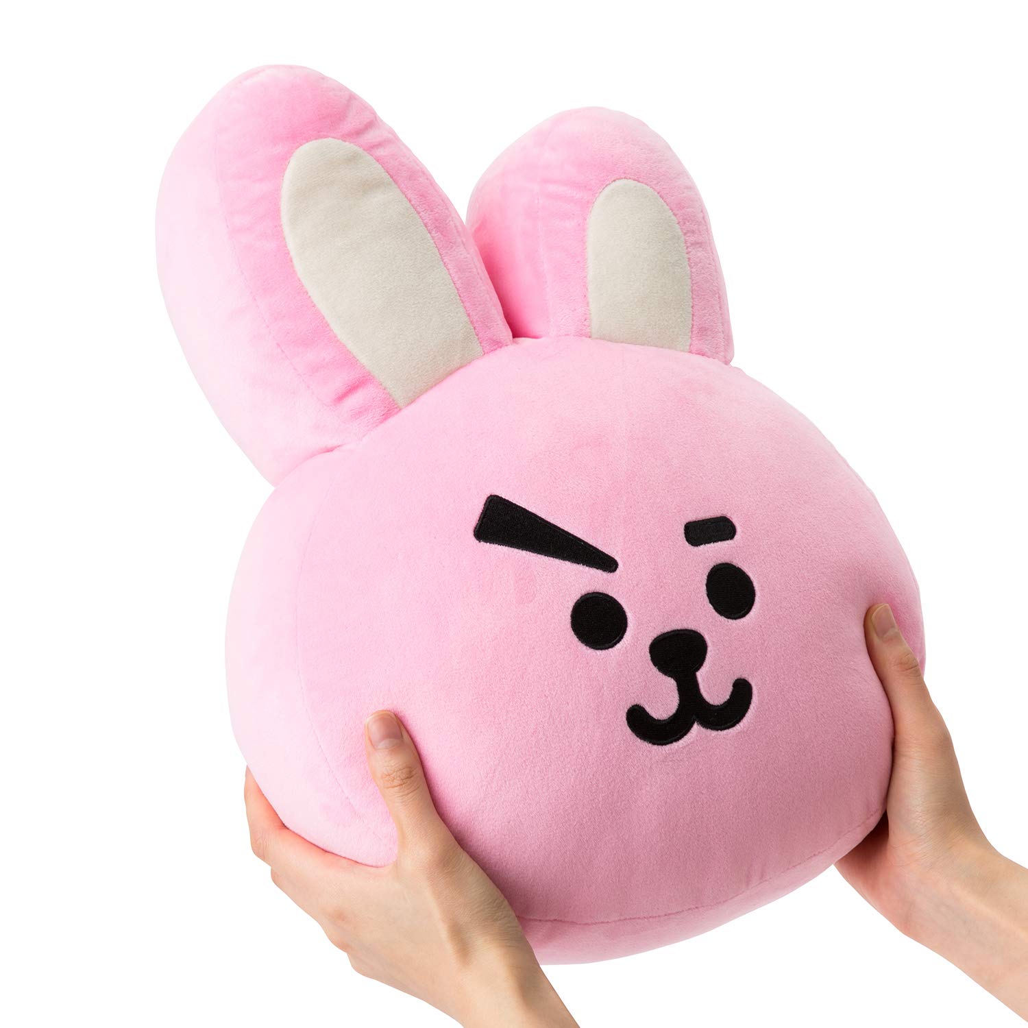cooky bt21 plush pillow
