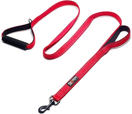 best double handle dog leash