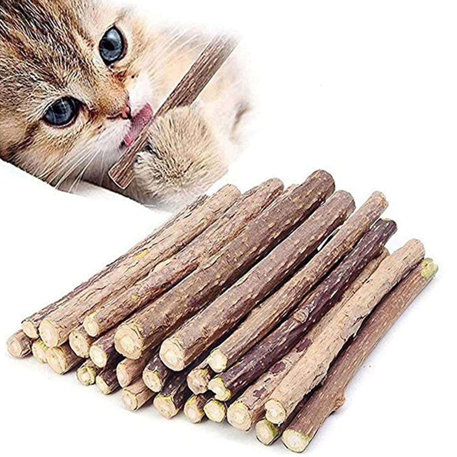 Photo 1 of 10 PCS Catnip Sticks Organic Cat Chew Toys Natural Plant Matatabi Silvervine Chew Sticks Teeth Cleaning Chew Toy Kitten Kitty