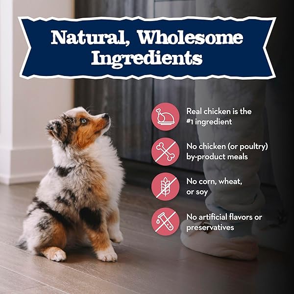 BLUE BUFFALO BABY BLUE NATURAL SMALL BREED PUPPY DRY DOG FOOD, HEALTHY GROWTH FORMULA WITH DHA, CHICKEN AND OATMEAL RECIPE, 4-LB BAG
