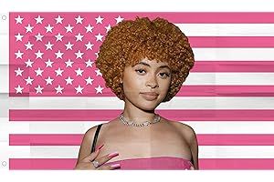 WENWELL Ice Rapper Spicy flag 3x5 Ft Outdoor Indoor,pink Icespice Poster American flag tapestry for Bedroom Living room dorm wall with Brass Grommets Vivid Color and Fade Proof Decorations